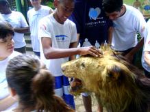 Visita ao Bosque Municipal Fbio Barreto : Alunos tocam o leo empalhado